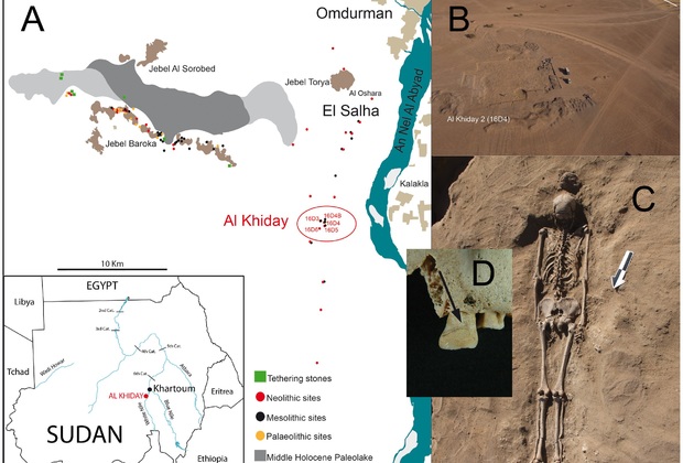 A. Расположение археологического памятника Аль-Хидай; B. Аэрофотоснимок места раскопок; C. Скелет в месте раскопок; D. Зубной камень.